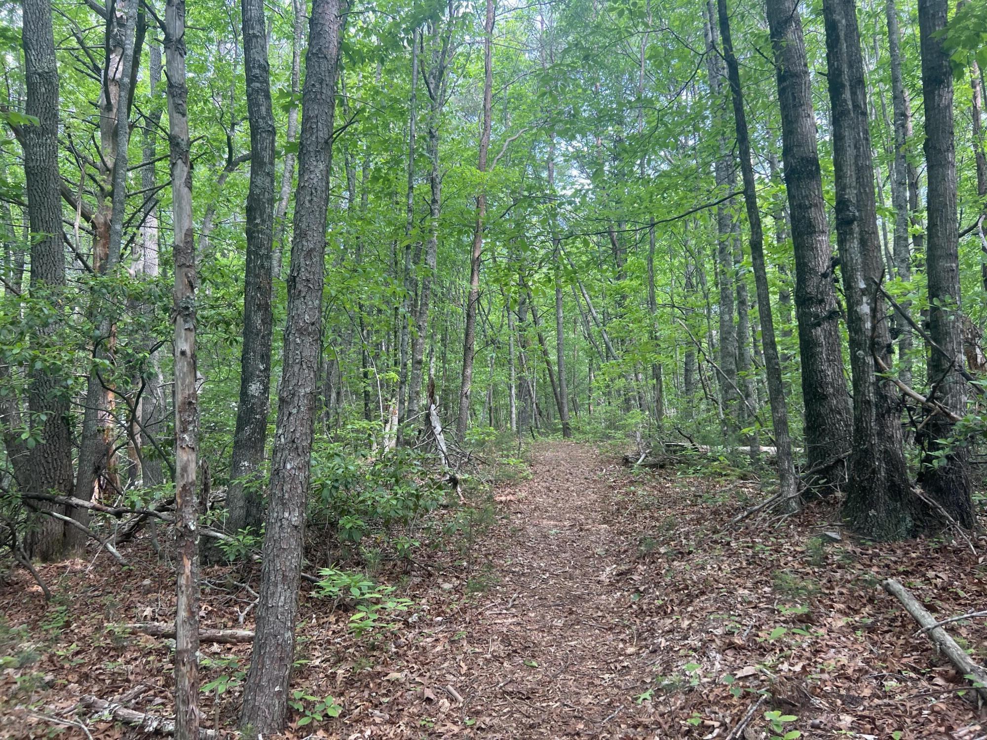 0 John Glover Road Hampton, TN 37658 - Photo 2 of 55 IMG_2428
