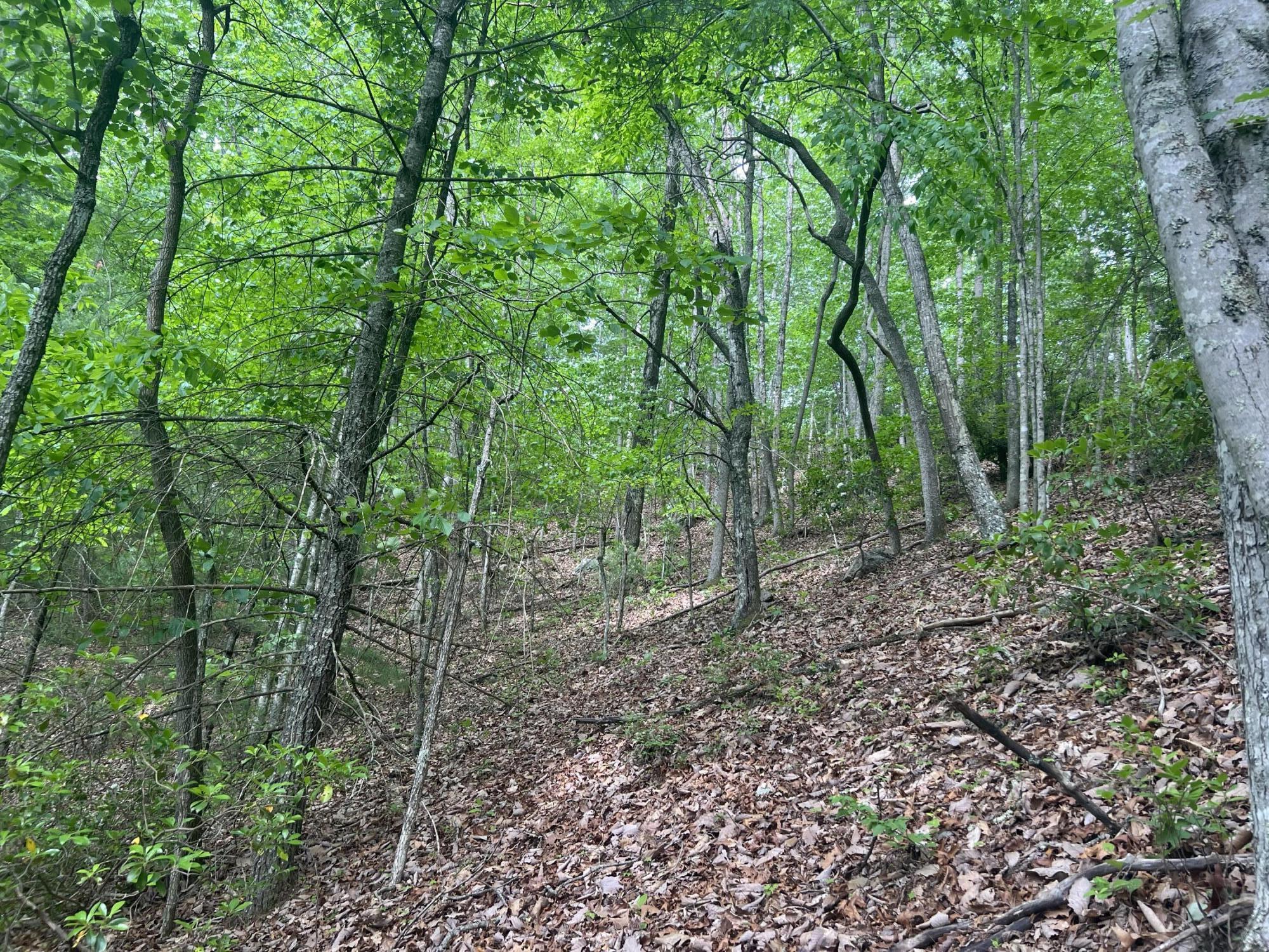 0 John Glover Road Hampton, TN 37658 - Photo 32 of 55 IMG_2455