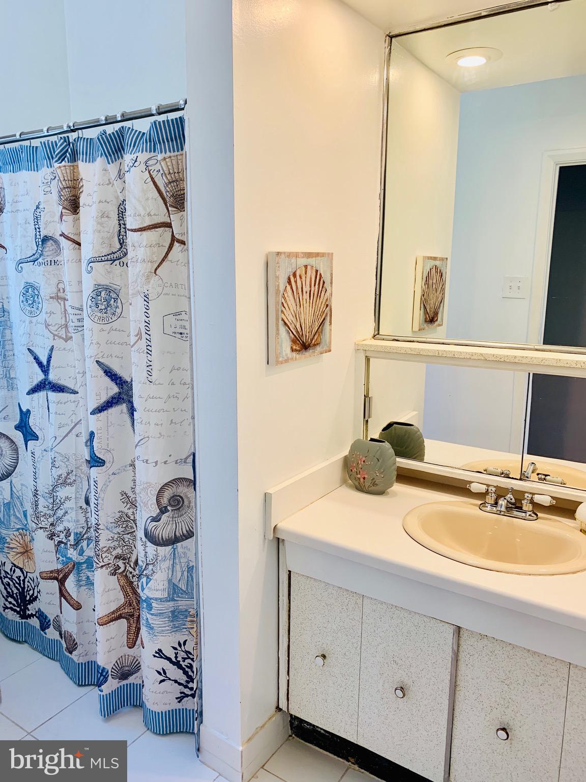 8508 Stevenswood Road Baltimore, MD 21244 - Photo 19 of 45 a bathroom with a sink and a mirror