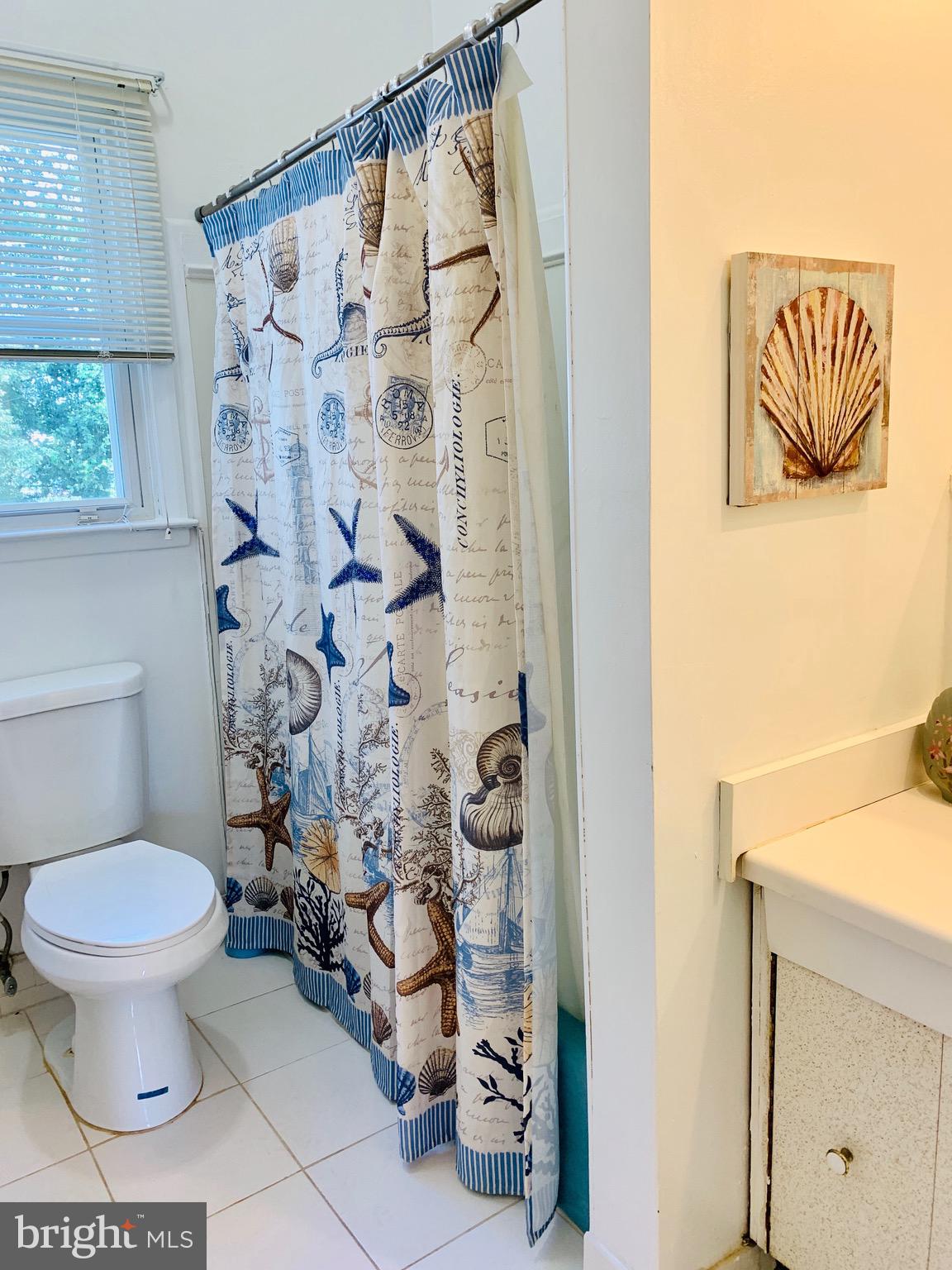 8508 Stevenswood Road Baltimore, MD 21244 - Photo 20 of 45 a bathroom with a toilet and a shower curtain