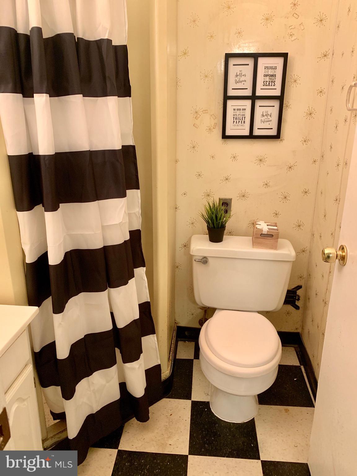 8508 Stevenswood Road Baltimore, MD 21244 - Photo 38 of 45 a bathroom with a toilet and a shower curtain