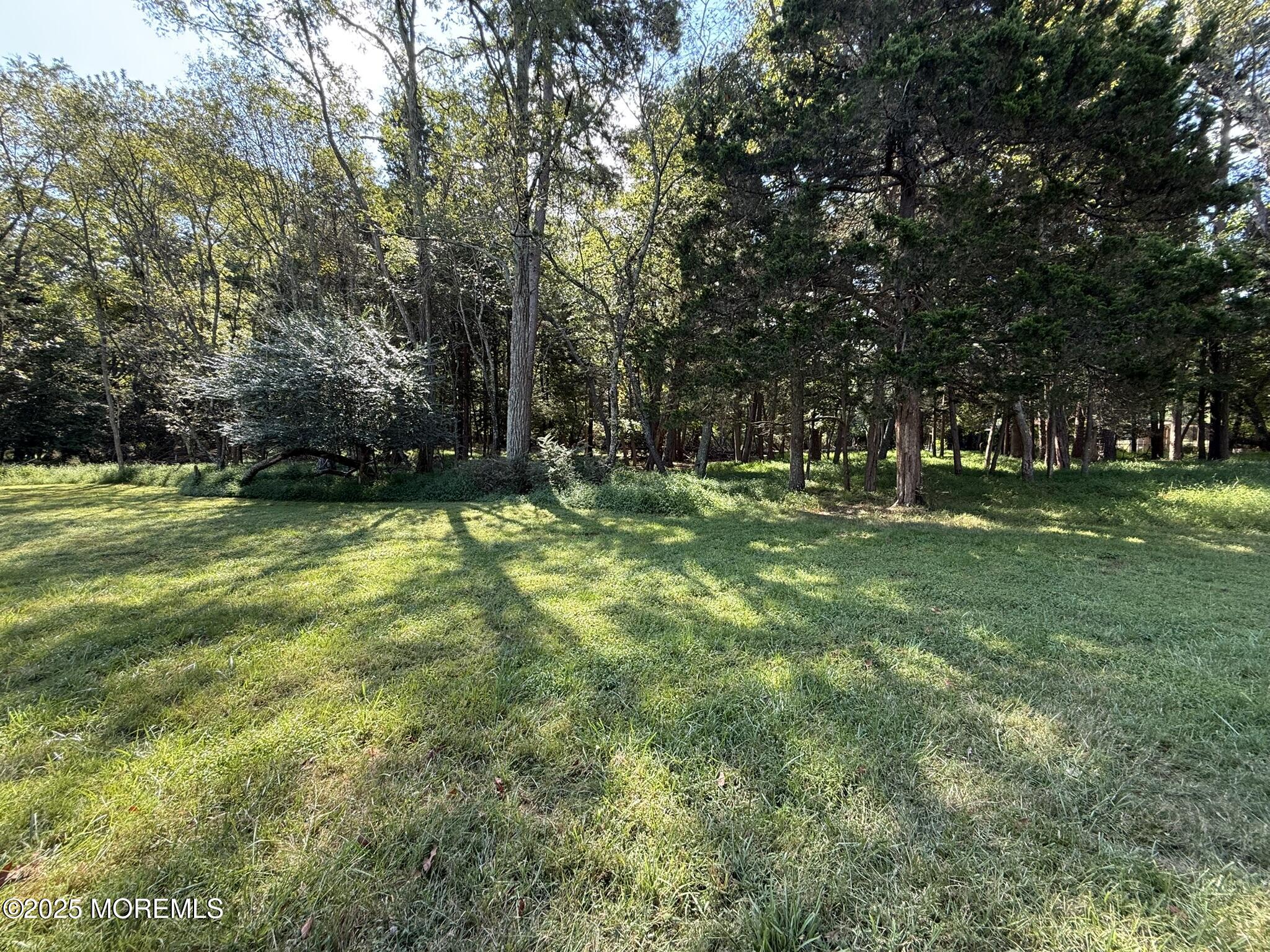225 Jones Road, Unit 104 Barnegat, NJ 08005 - Photo 29 of 44 a view of a park with large trees