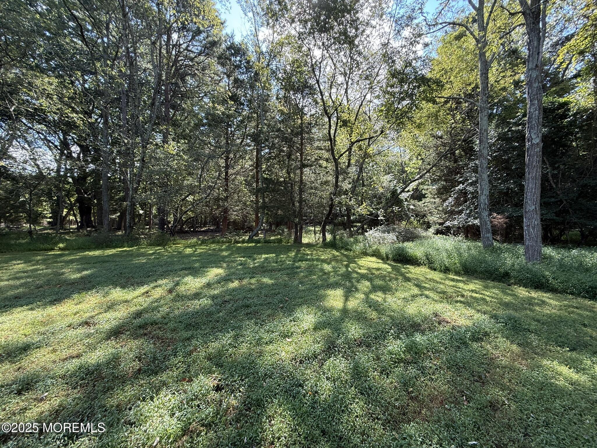 225 Jones Road, Unit 104 Barnegat, NJ 08005 - Photo 33 of 44 a view of outdoor space with green field and trees