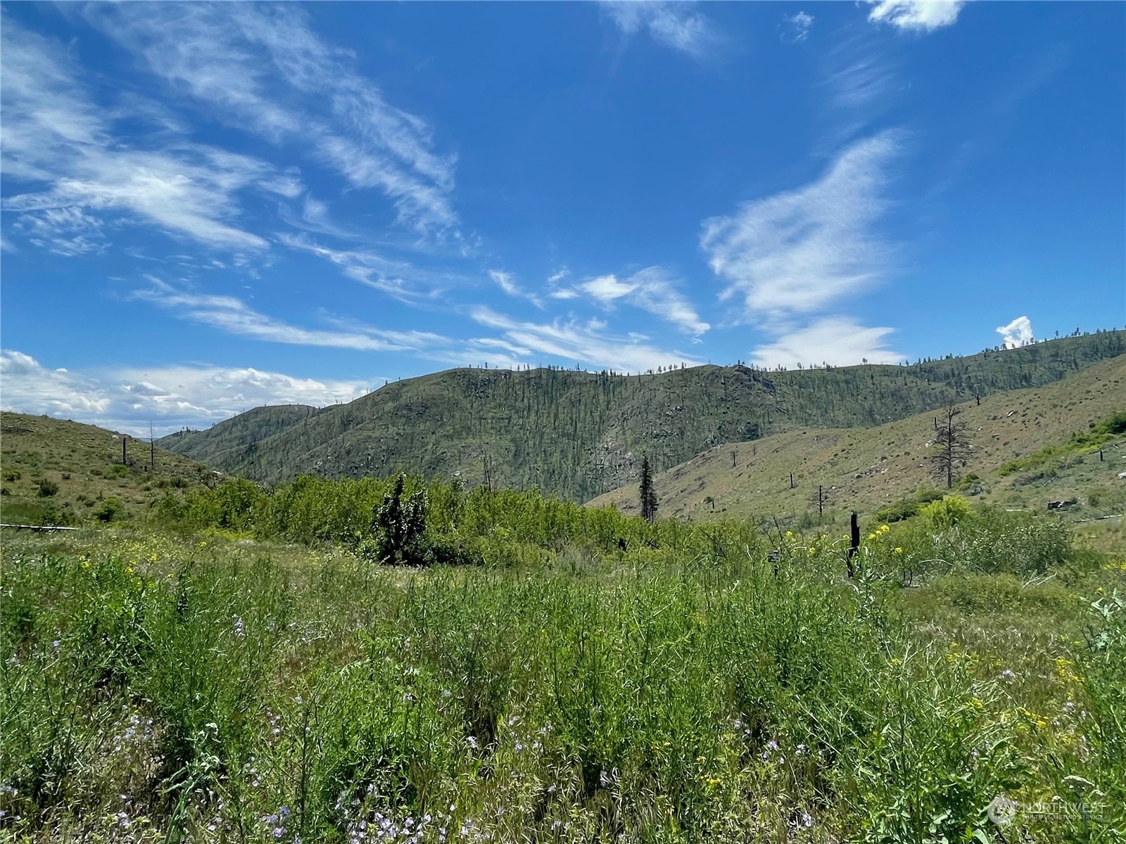 436 Antoine Creek Road, Unit LOT F Chelan, WA 98816 - Photo 1 of 1 Gallery Image 1