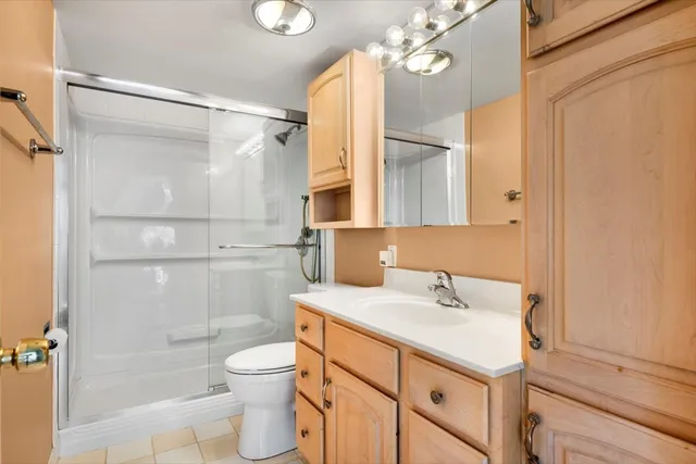 a bathroom with a sink a toilet and shower