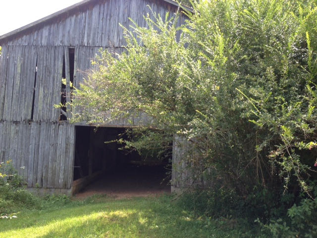 364 Owl Hole Gap Road Rutledge, TN 37861 - Photo 2 of 17 barn