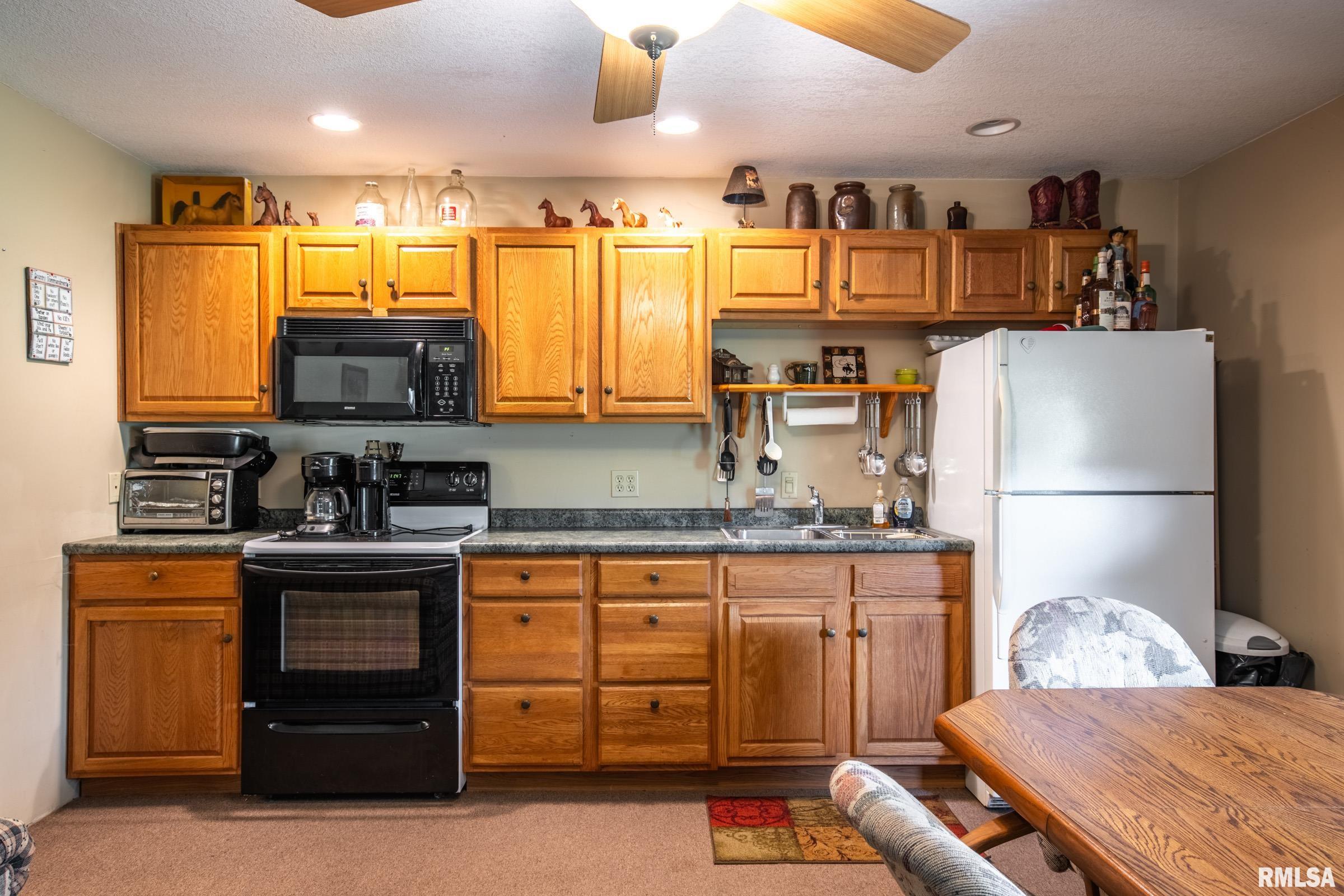 10891 Lick Creek Road Buncombe, IL 62912 - Photo 28 of 31