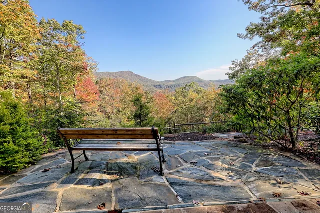 $750,000 | 557 Walnut Grove Lane, Tiger, GA 30576