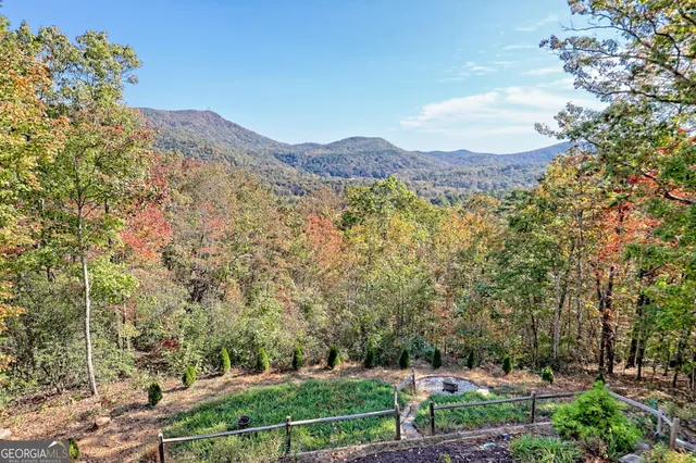 $750,000 | 557 Walnut Grove Lane, Tiger, GA 30576