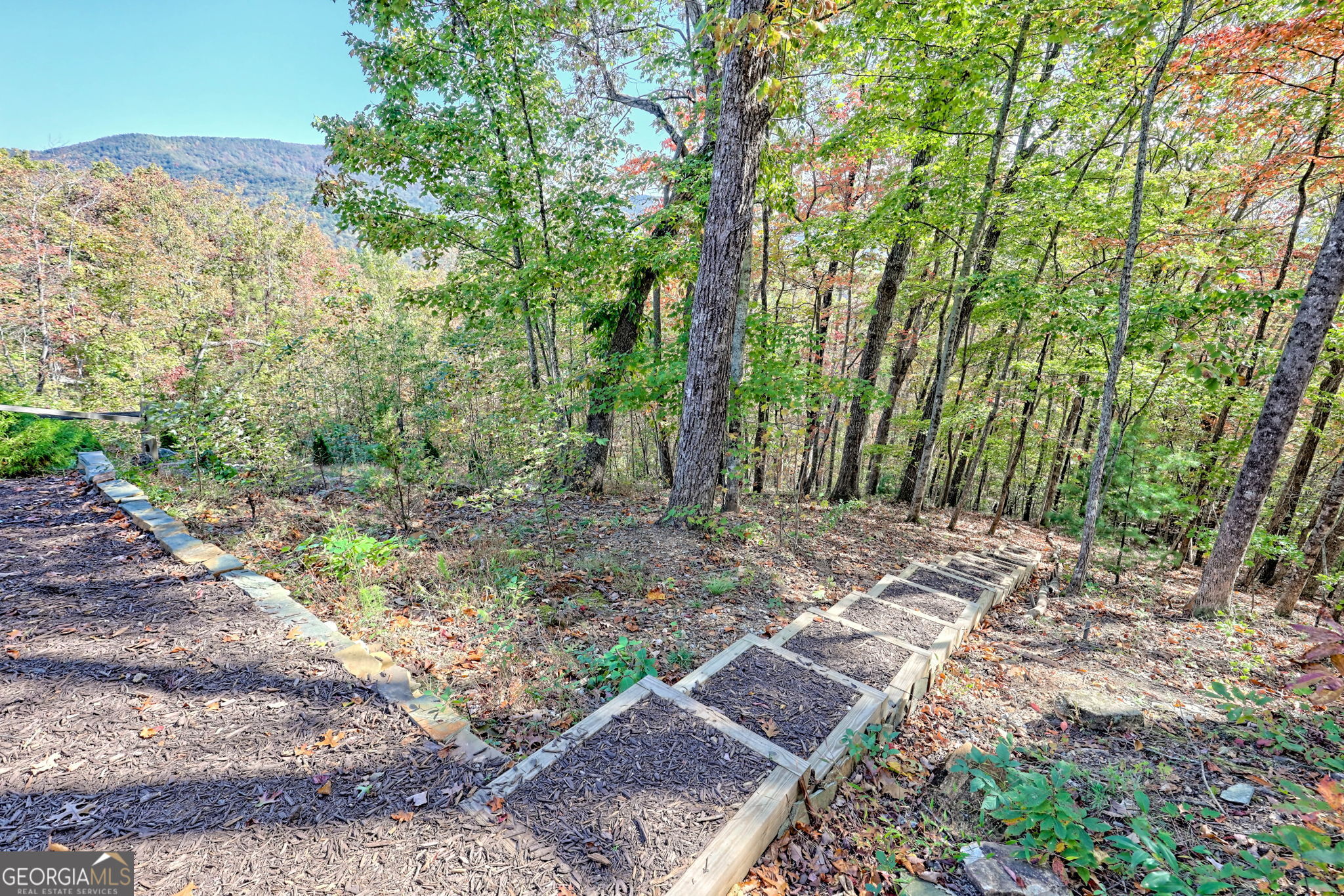 557 Walnut Grove Lane Tiger, GA 30576 - Photo 66 of 75 a view of a forest filled with trees