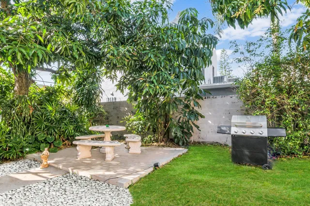 a view of a backyard with plants and a bench