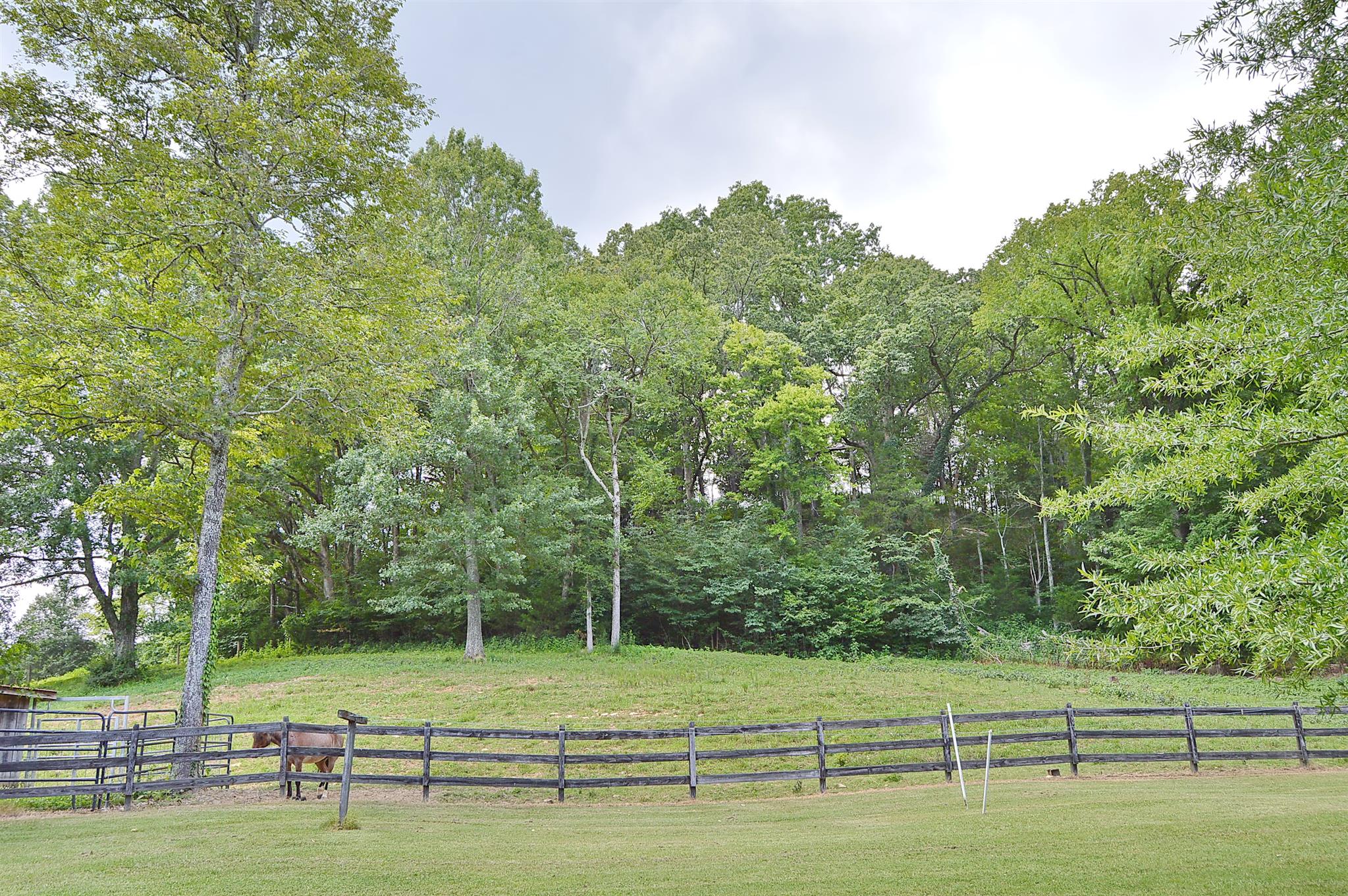 431 Chicken Creek Road Frankewing, TN 38459 - Photo 8 of 30 Gallery Image 8