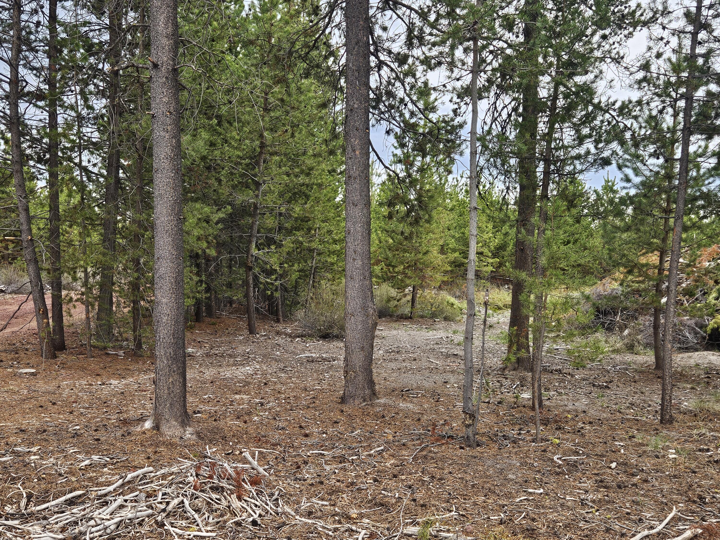 0 Kay Street, Unit 15 Chiloquin, OR 97624 - Photo 4 of 6