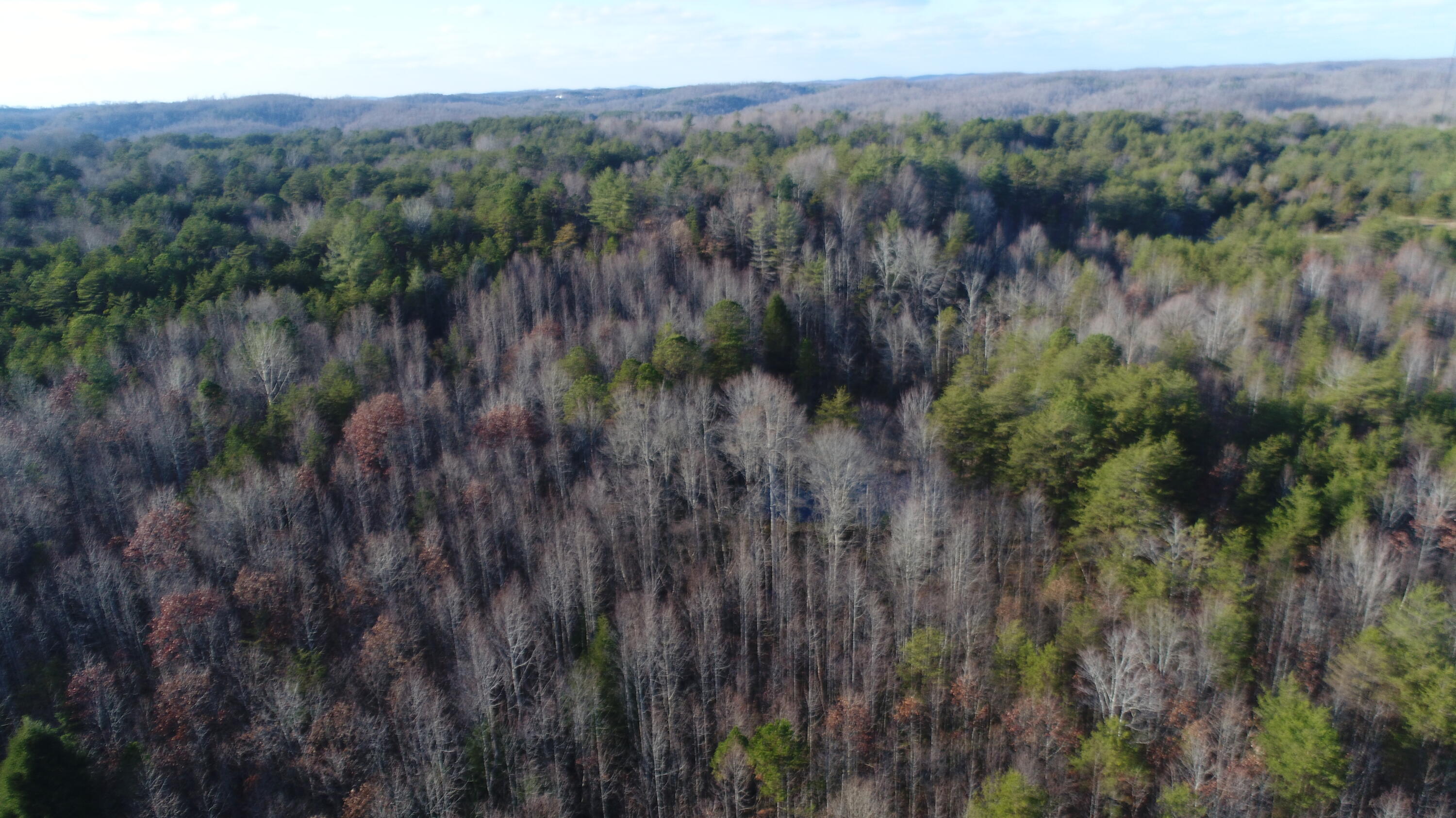 250 Chimney Rock Church Road Somerset, KY 42501 - Photo 10 of 15 DJI_0065