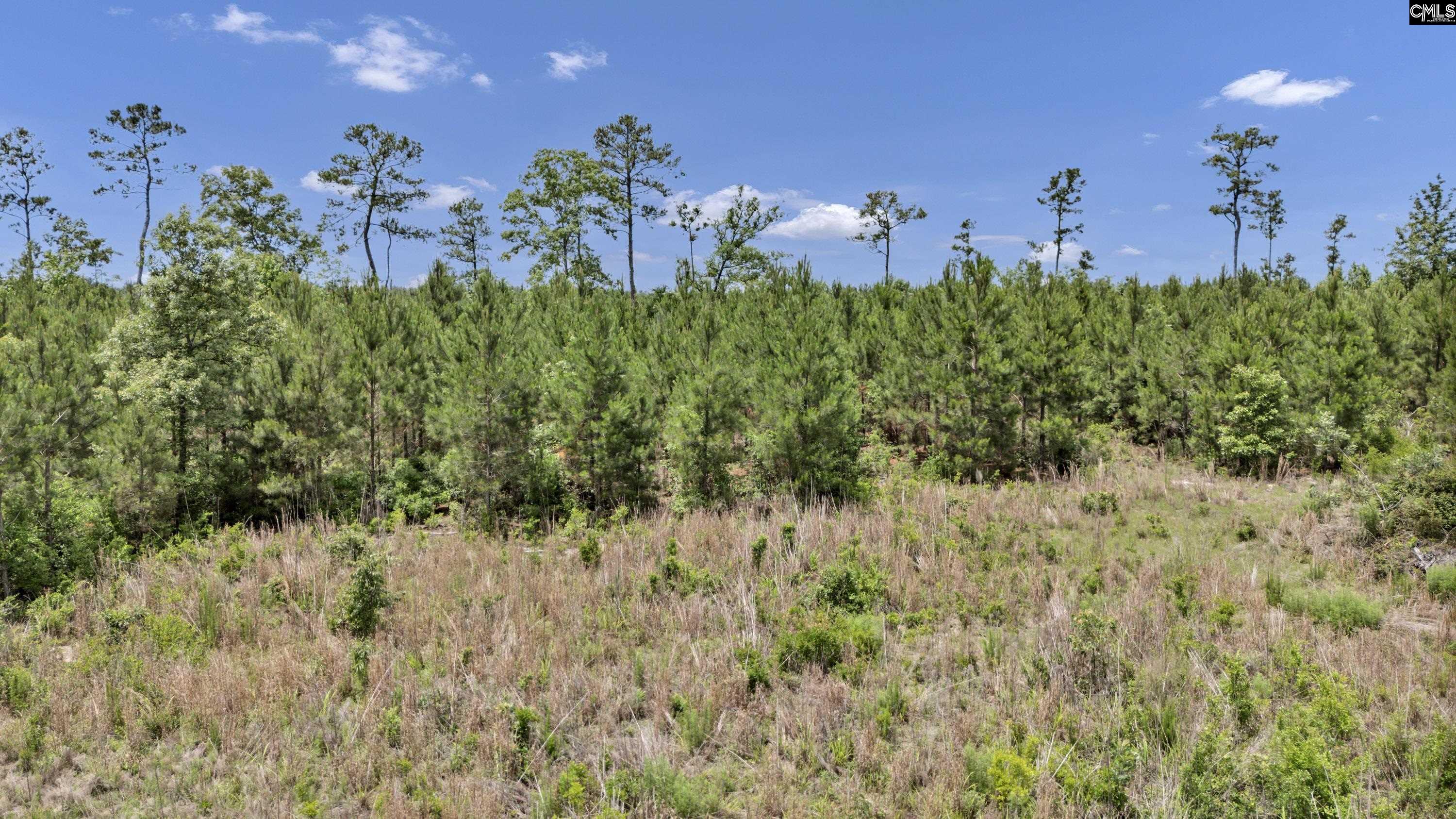 Na Bull Swamp Road North, SC 29112 - Photo 6 of 28