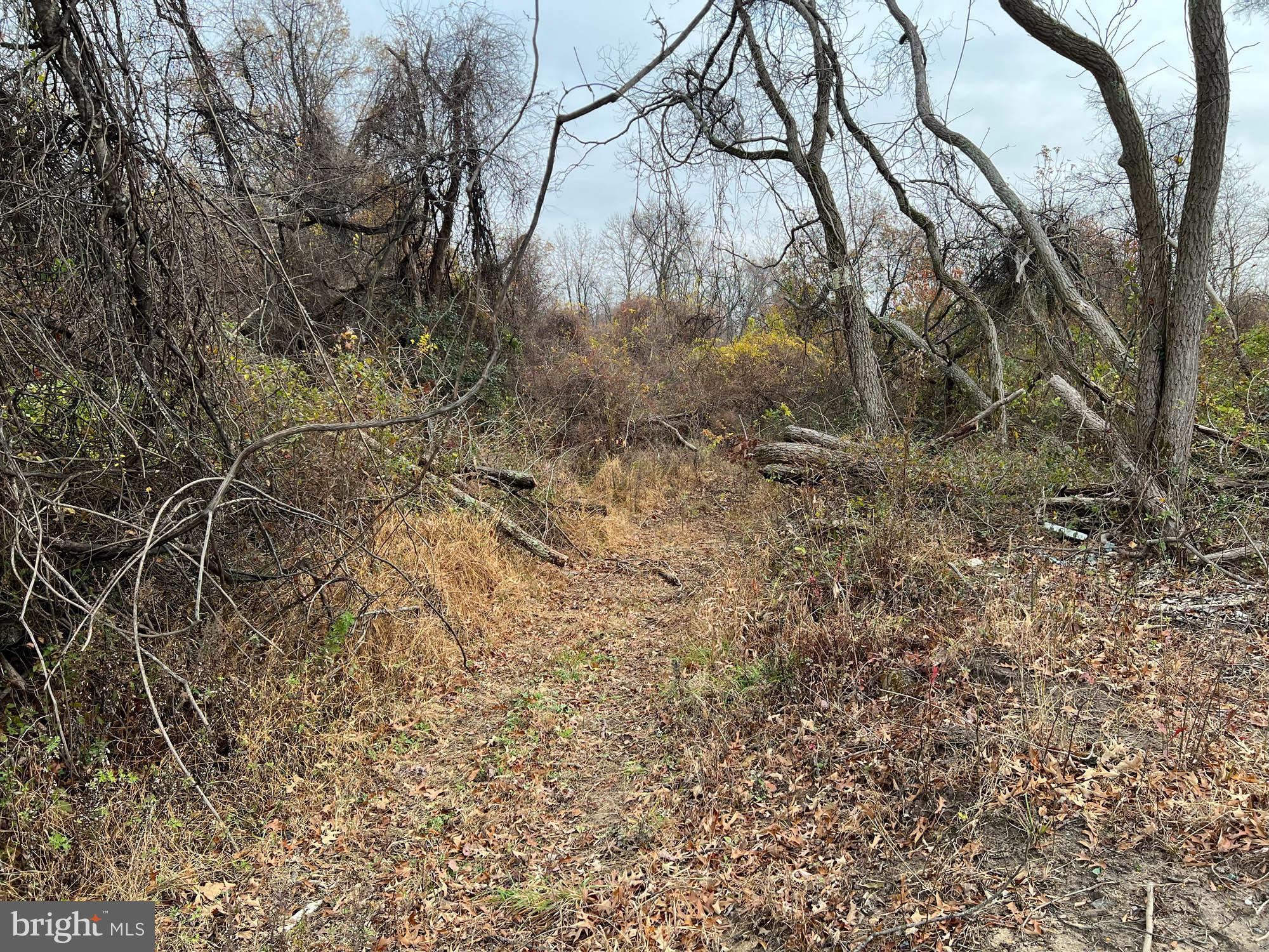 Stokers Lane Middle River, MD 21220 - Photo 4 of 8 a backyard of a house with lots of green space