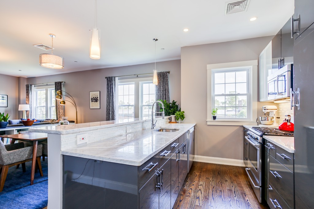 4 Windermere Road, Unit 2 Boston, MA 02125 - Photo 8 of 19 Gallery Image 8