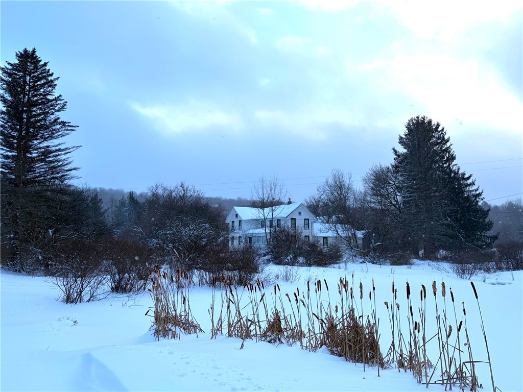 10499 Mink Hollow Road Centerville, NY 14060 - Photo 2 of 26