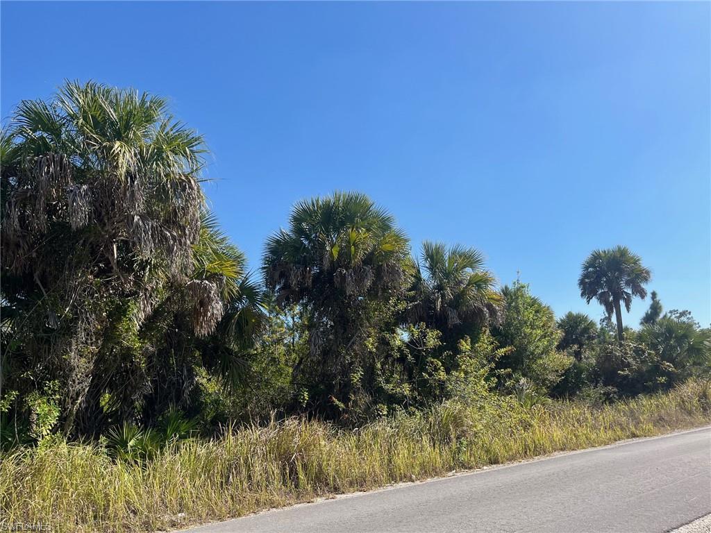 Dove Tree Street Naples, FL 34117 - Photo 2 of 13