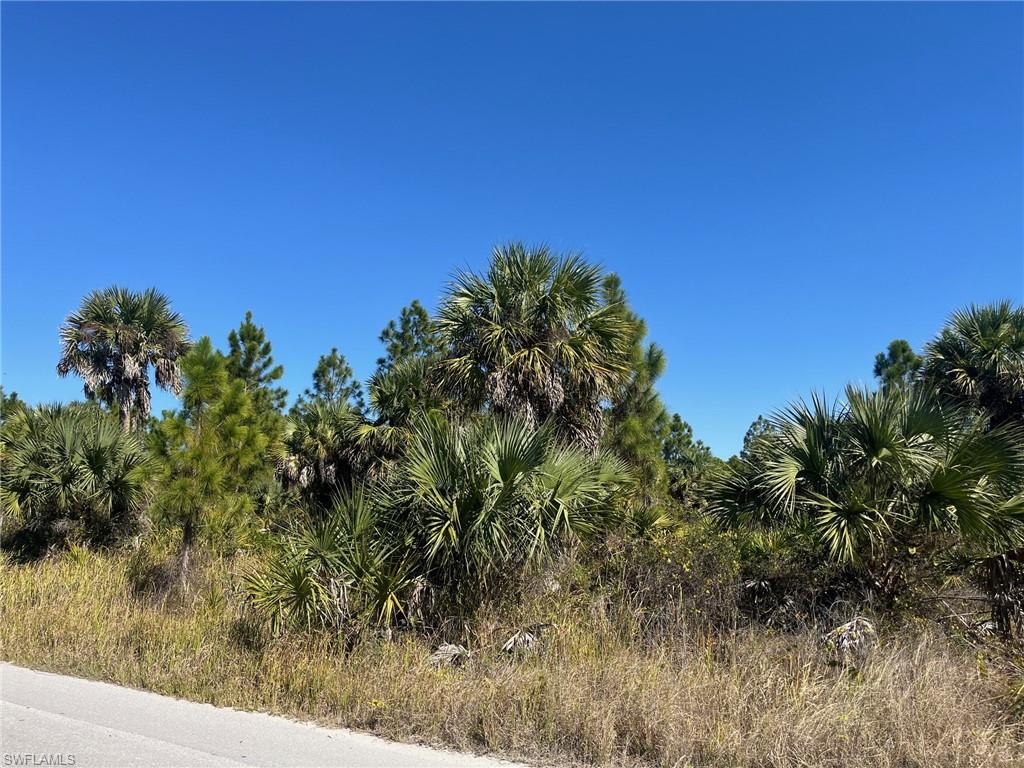 Dove Tree Street Naples, FL 34117 - Photo 3 of 13