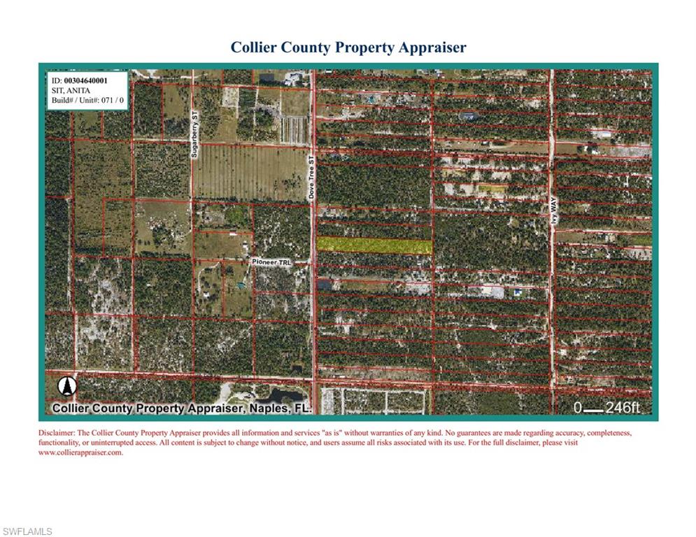 Dove Tree Street Naples, FL 34117 - Photo 8 of 13