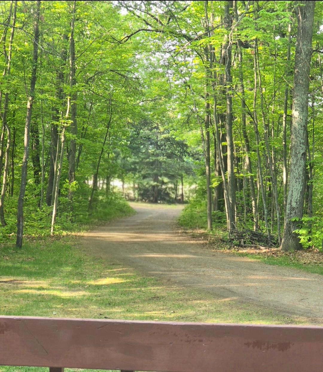 4738 Timber Oaks Road Pequot Lakes, MN 56472 - Photo 43 of 45