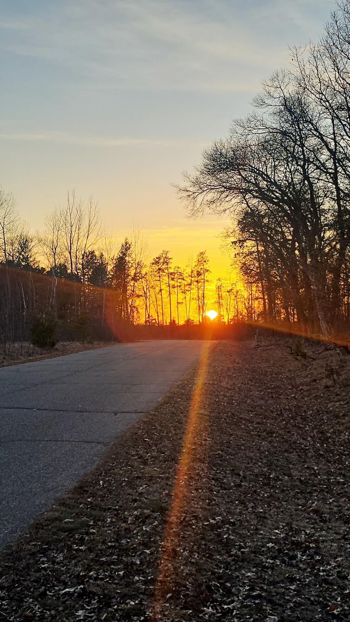 4738 Timber Oaks Road Pequot Lakes, MN 56472 - Photo 44 of 45