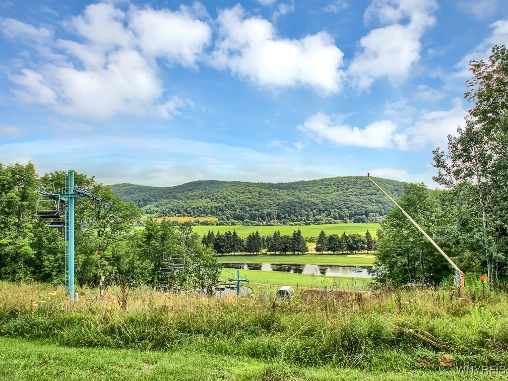 C102 Snowpine Ellicottville, NY 14731 - Photo 19 of 25