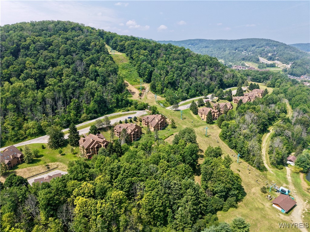 C102 Snowpine Ellicottville, NY 14731 - Photo 21 of 25