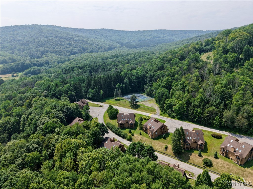 C102 Snowpine Ellicottville, NY 14731 - Photo 25 of 25