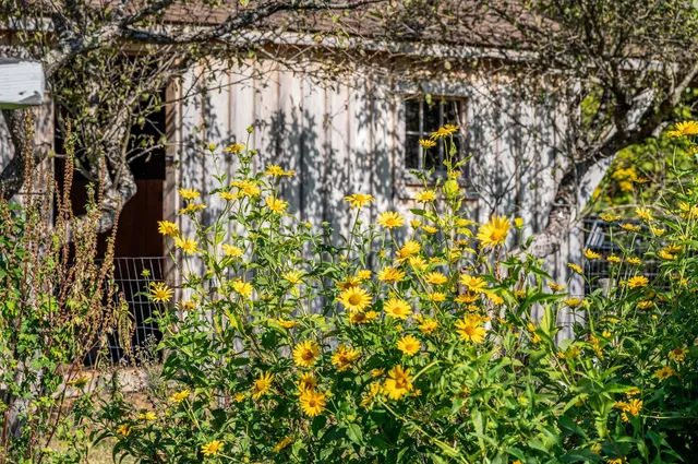 $594,000 | 174 Coburn Road, East Montpelier, VT 05651