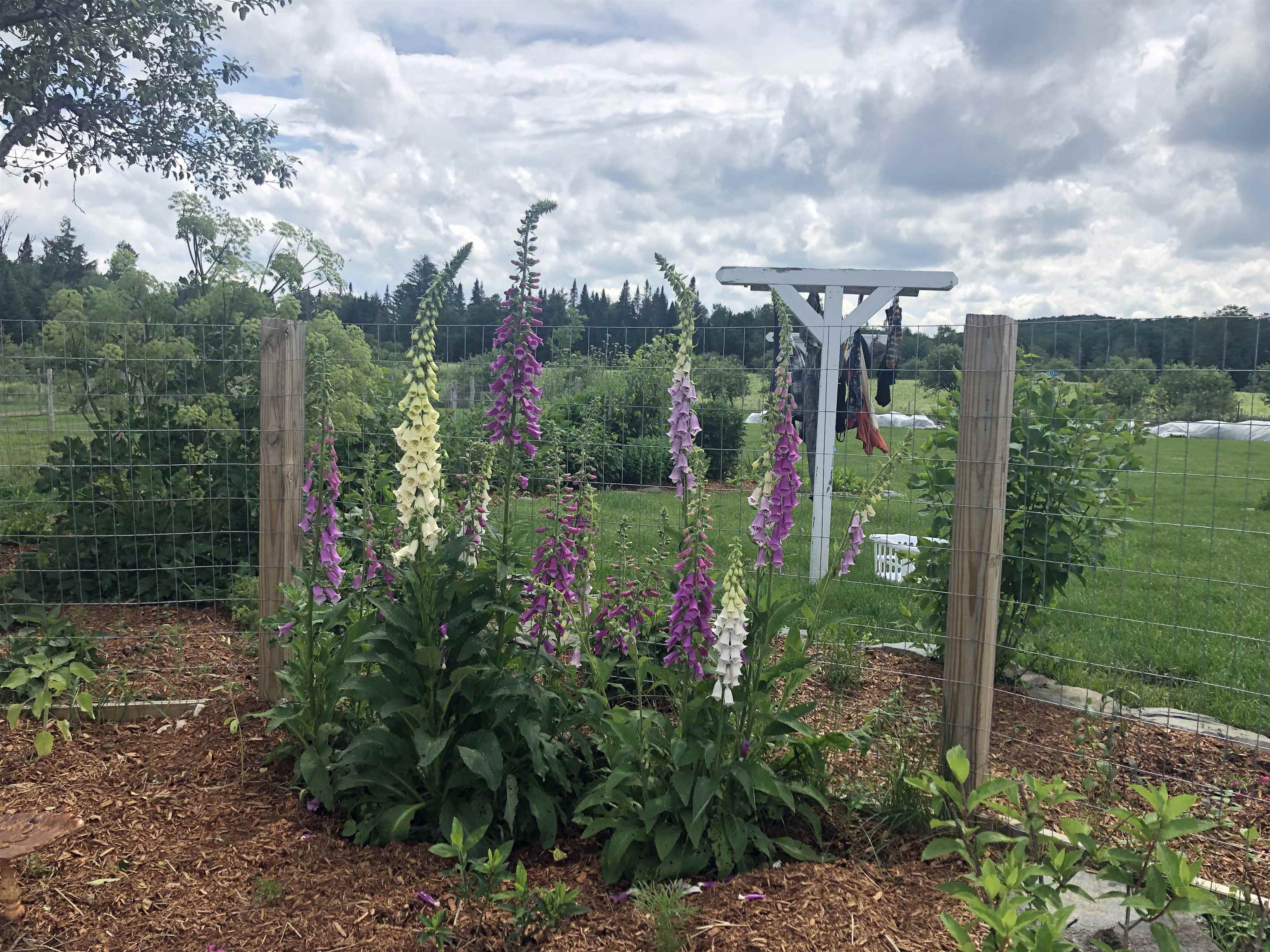 174 Coburn Road East Montpelier, VT 05651 - Photo 57 of 58