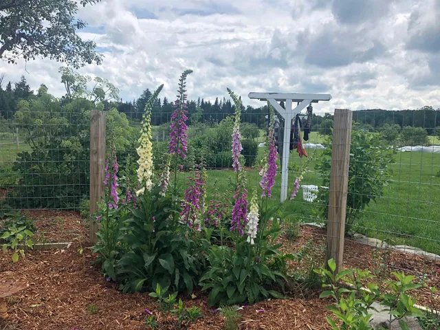 $594,000 | 174 Coburn Road, East Montpelier, VT 05651