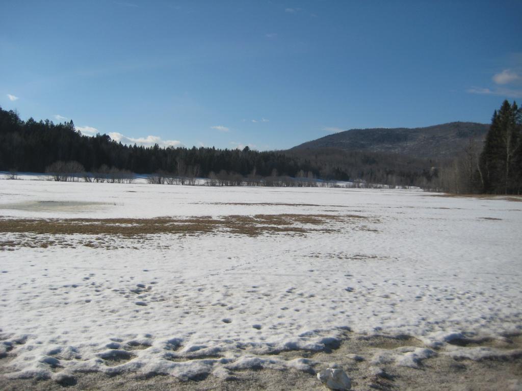- Buzzell Road Newport Center, VT 05857 - Photo 3 of 6 Gallery Image 3