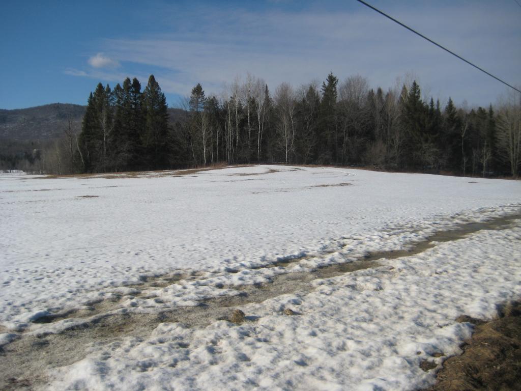 - Buzzell Road Newport Center, VT 05857 - Photo 4 of 6 Gallery Image 4