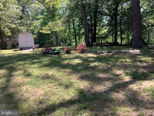 301 Rings End Road Millington, MD 21651 - Photo 11 of 40 Peace and Quiet