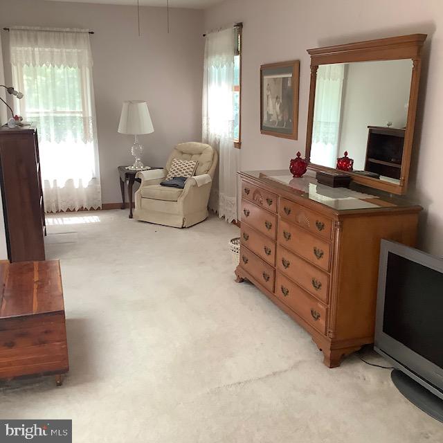 301 Rings End Road Millington, MD 21651 - Photo 27 of 40 Primary Bedroom