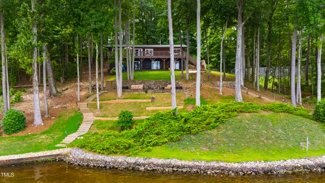a view of a garden with plants