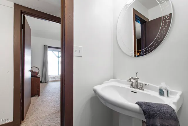 a view of a garden with tall trees