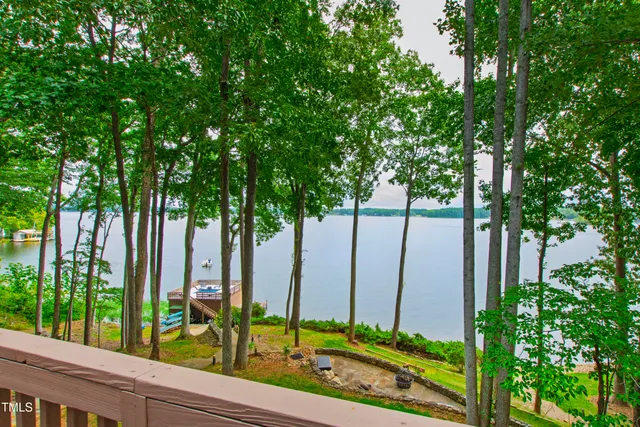 a view of a lake with a palm tree next to a building
