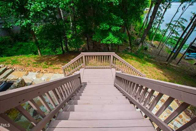 a view of a lake with a palm trees