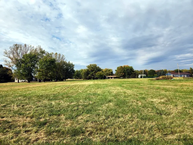 a view of yard with green space