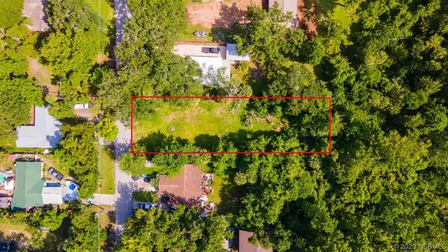 a view of a flower in a garden