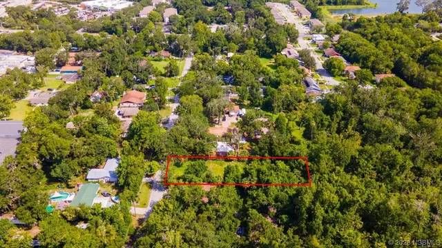 a view of a tree with a flower