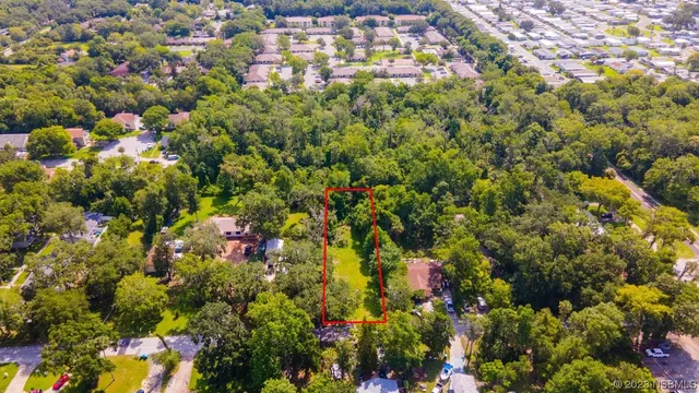 a view of a bunch of flowers