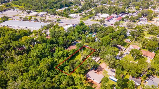 a view of a and white tree