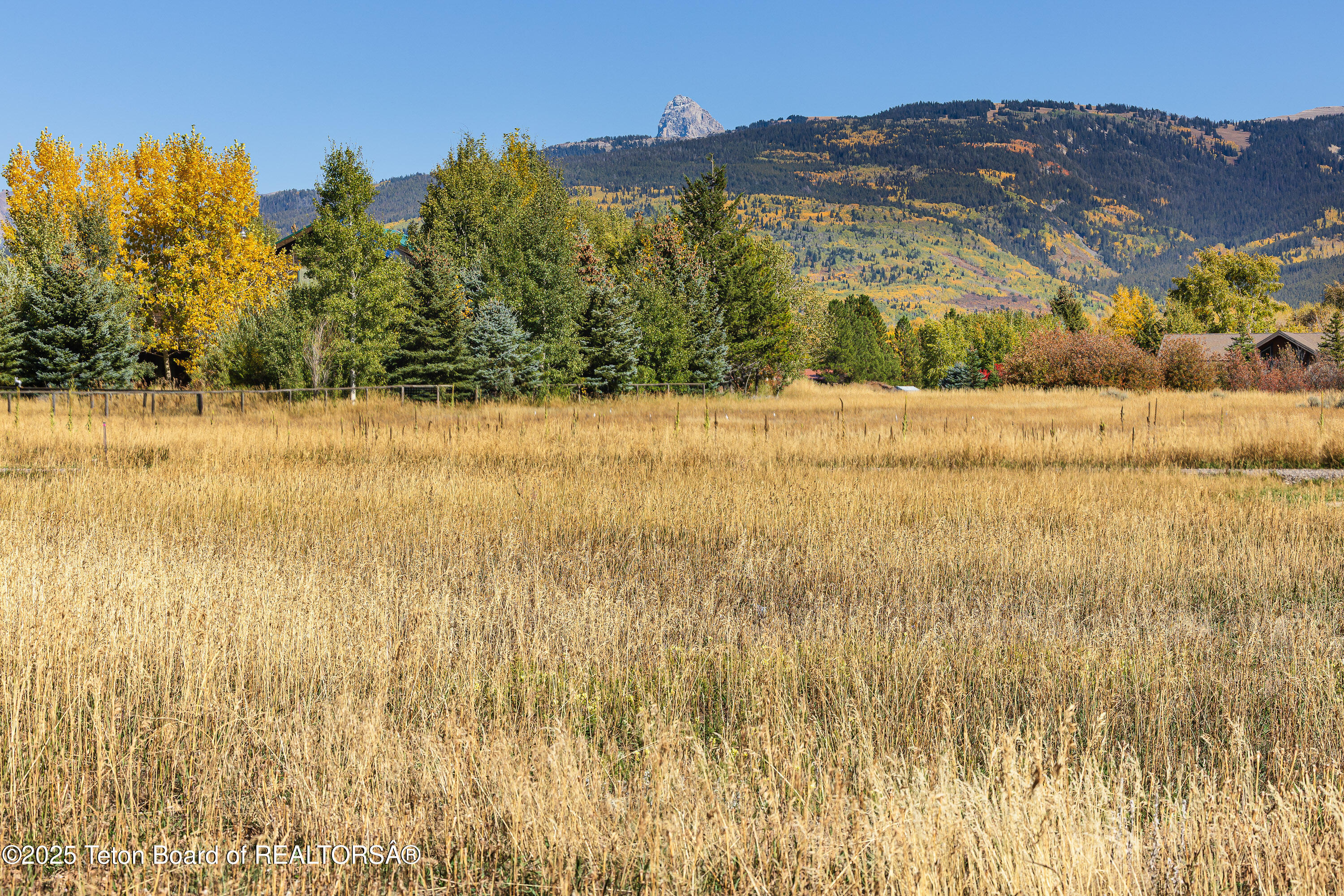 535 Palisade Trail Driggs, ID 83422 - Photo 2 of 13 image-3