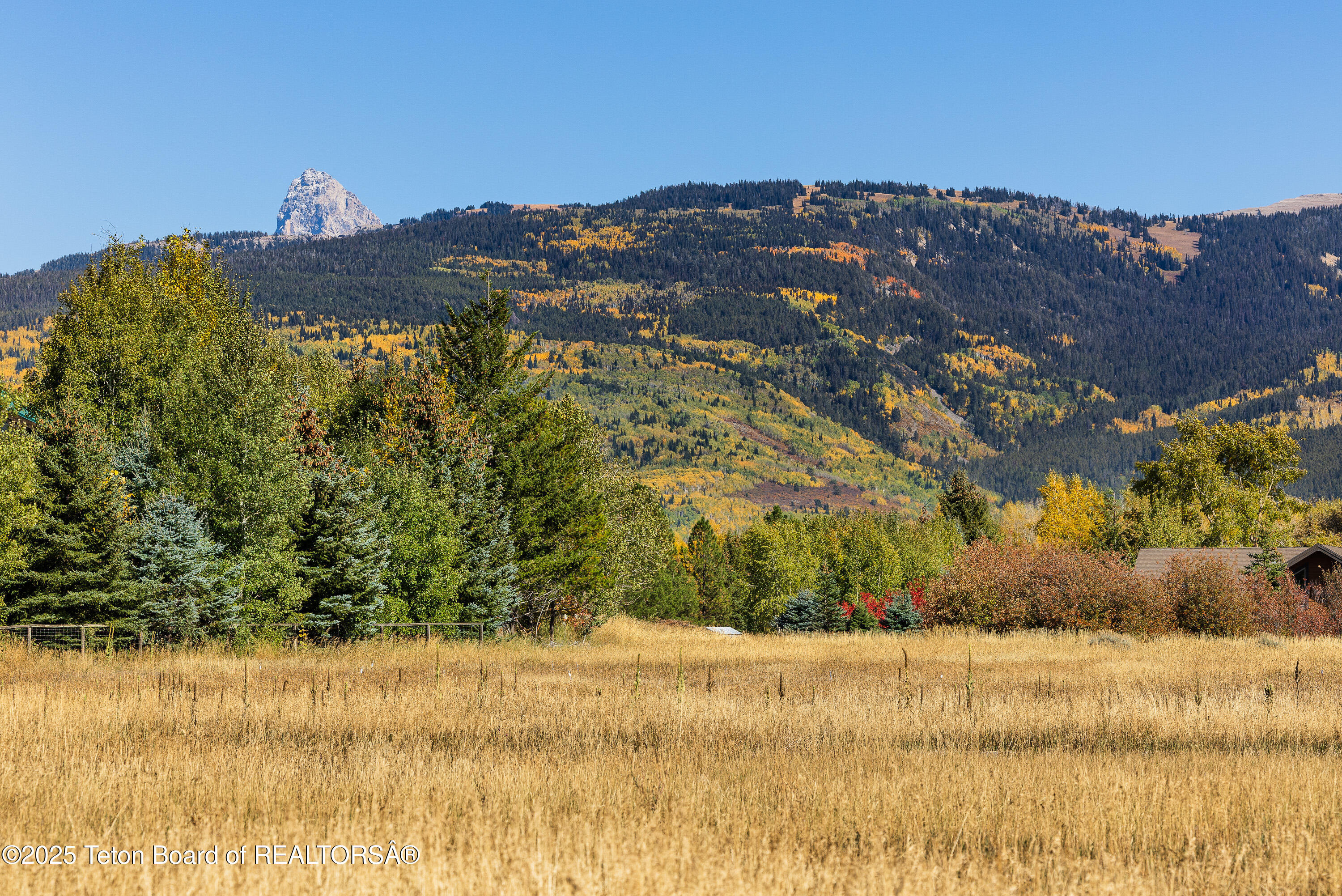 535 Palisade Trail Driggs, ID 83422 - Photo 3 of 13 image-4