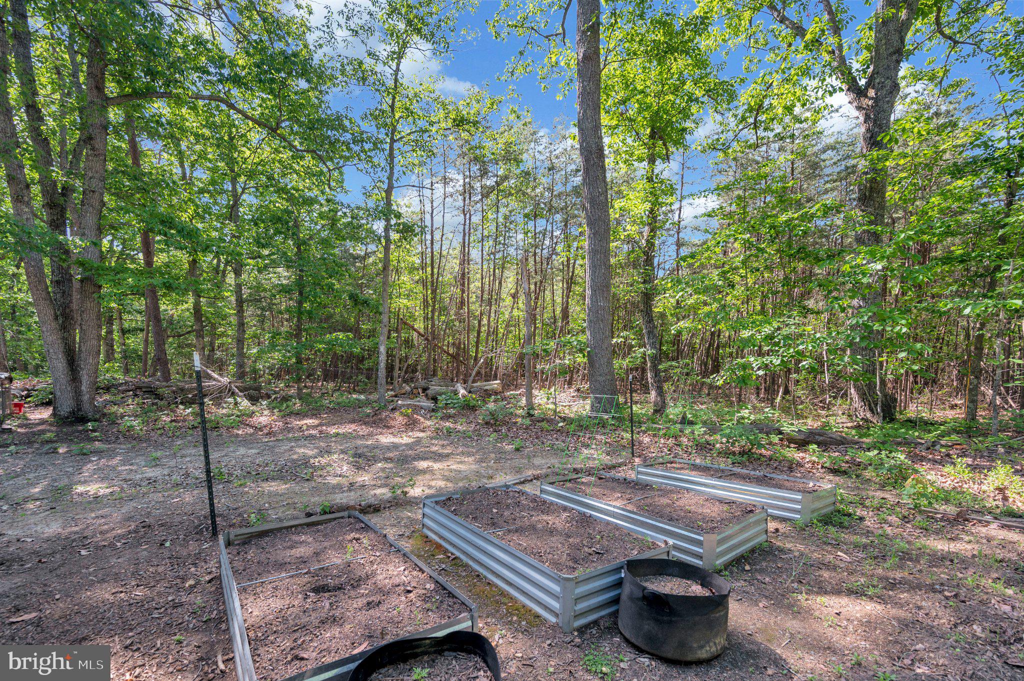 28282 Tatum Road Unionville, VA 22567 - Photo 51 of 52 Serene garden retreat in nature.