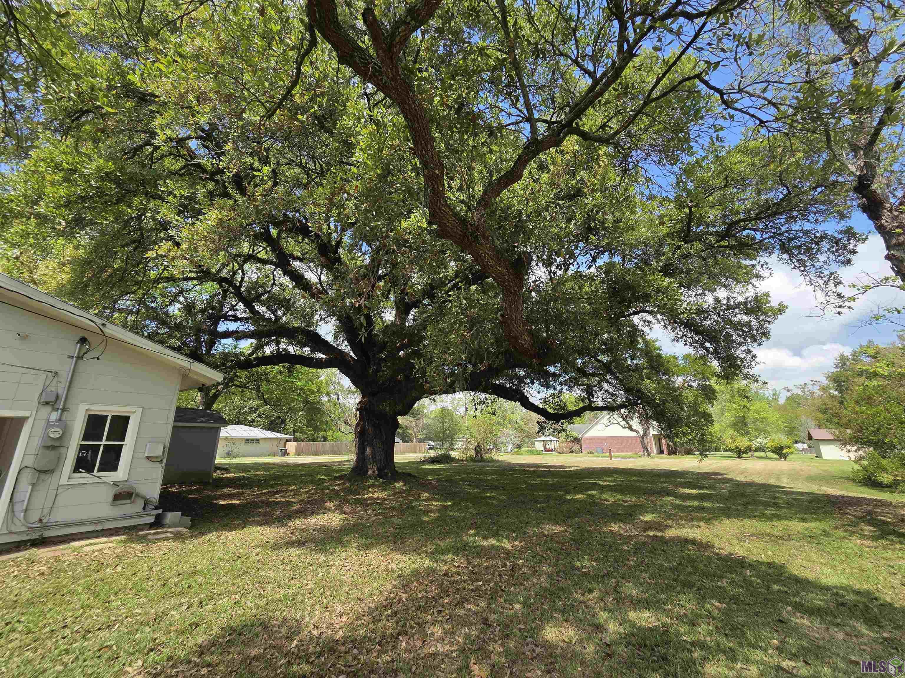 41346 Churchpoint Road Gonzales, LA 70737 - Photo 10 of 10